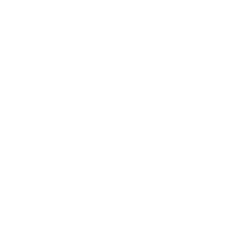 283CHIPSのロゴ