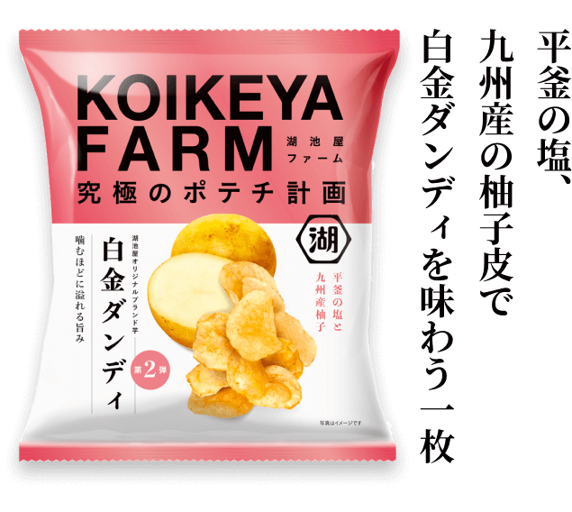 チップ小池ページ 湖池屋 ポテトチップスのお取り寄せ通販なら湖池屋オンライン