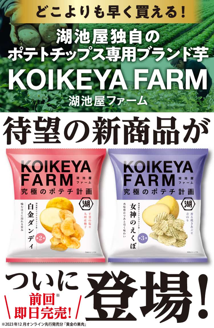 ポテチページ 期間限定 数量限定 ご当地ポテトチップス食べ比べセット 三方原ポテト