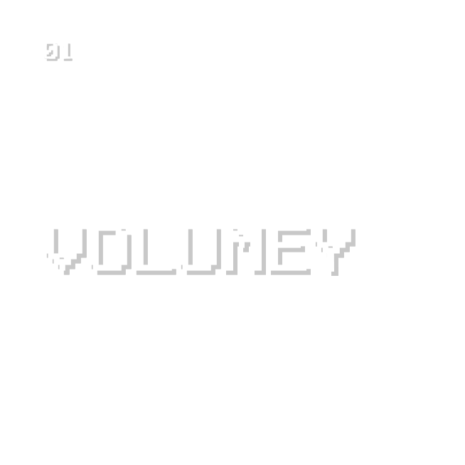 VOLUMEY 食べごたえ ざくざく食感で満足感のある一粒!