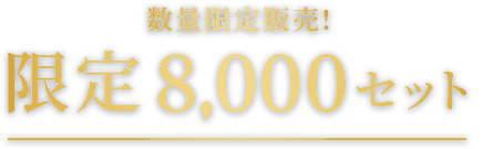 数量限定販売限定8,000セット