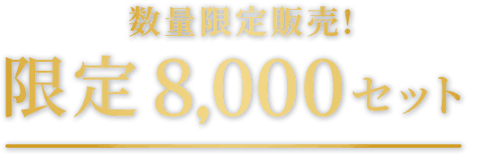 数量限定販売限定8,000セット