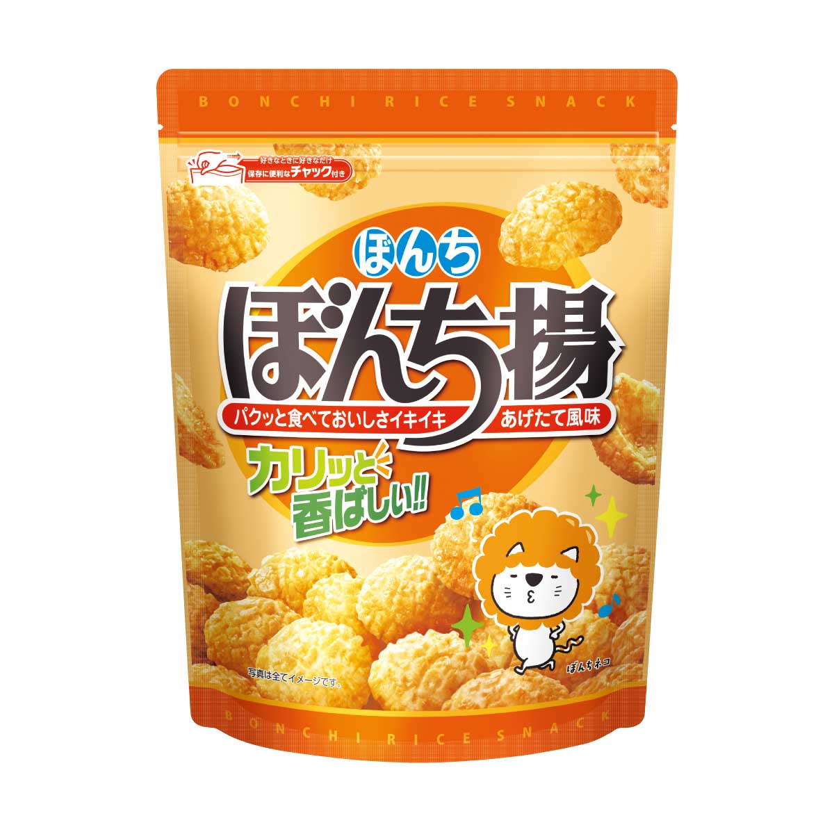 100gぼんち揚チャック付