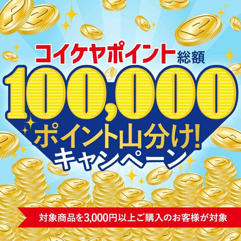 抽選で100名様に当たる!10万ポイント山分けキャンペーン!