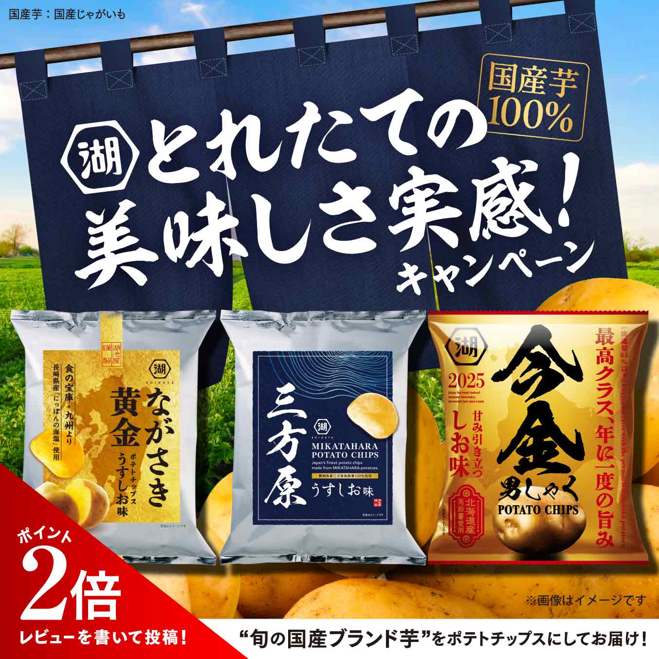 とれたての美味しさ実感！キャンペーン