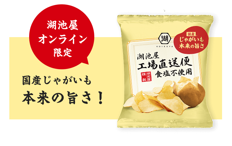湖池屋工場直送便 食塩不使用