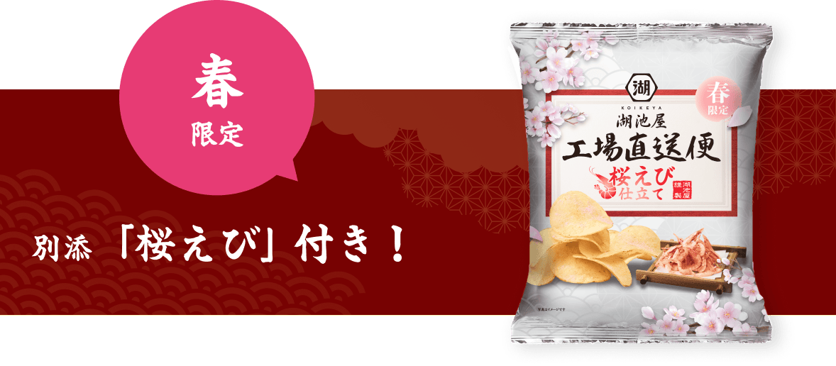 湖池屋 春の工場直送便 桜えび仕立て