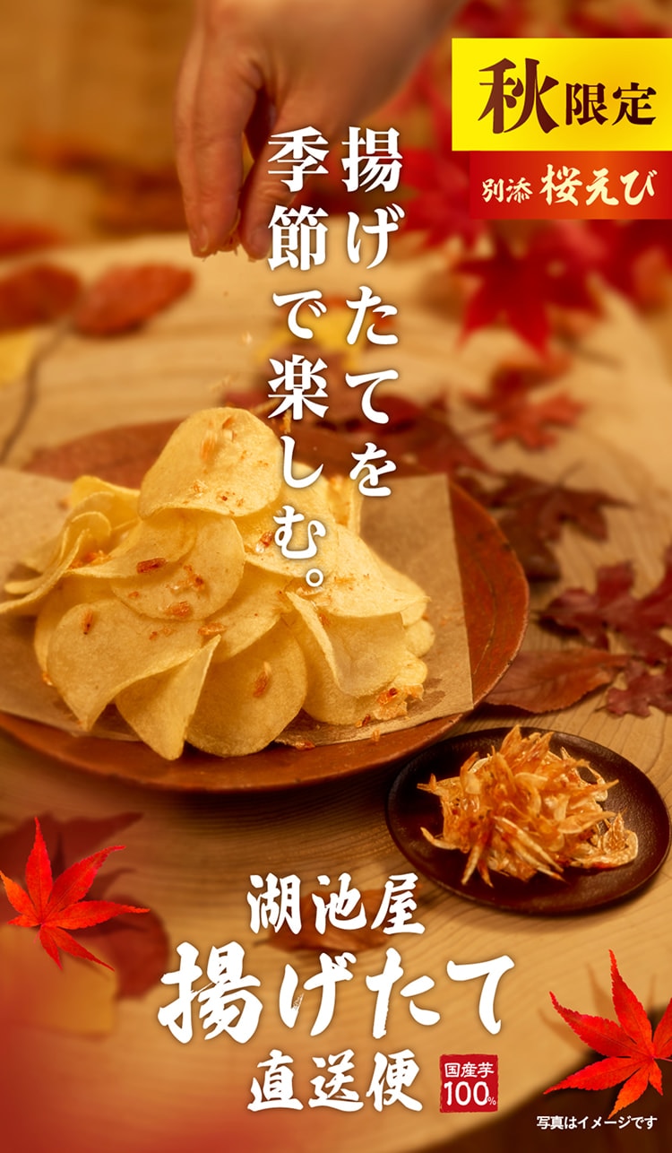 秋限定 湖池屋 秋の揚げたて直送便(工場直送便)ポテトチップス 柚子香る出汁