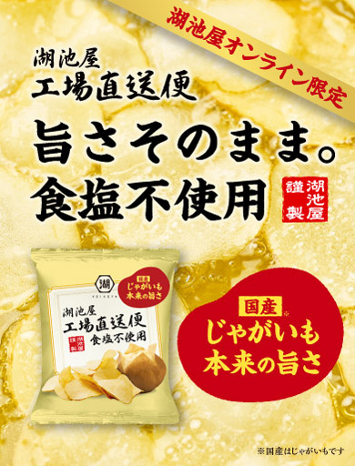 湖池屋 工場直送便 ポテトチップス 48袋 塩 のり塩 ポテチ 25年夏頃再開予定】湖池屋工場直送便 ポテトチップス のり塩: 湖