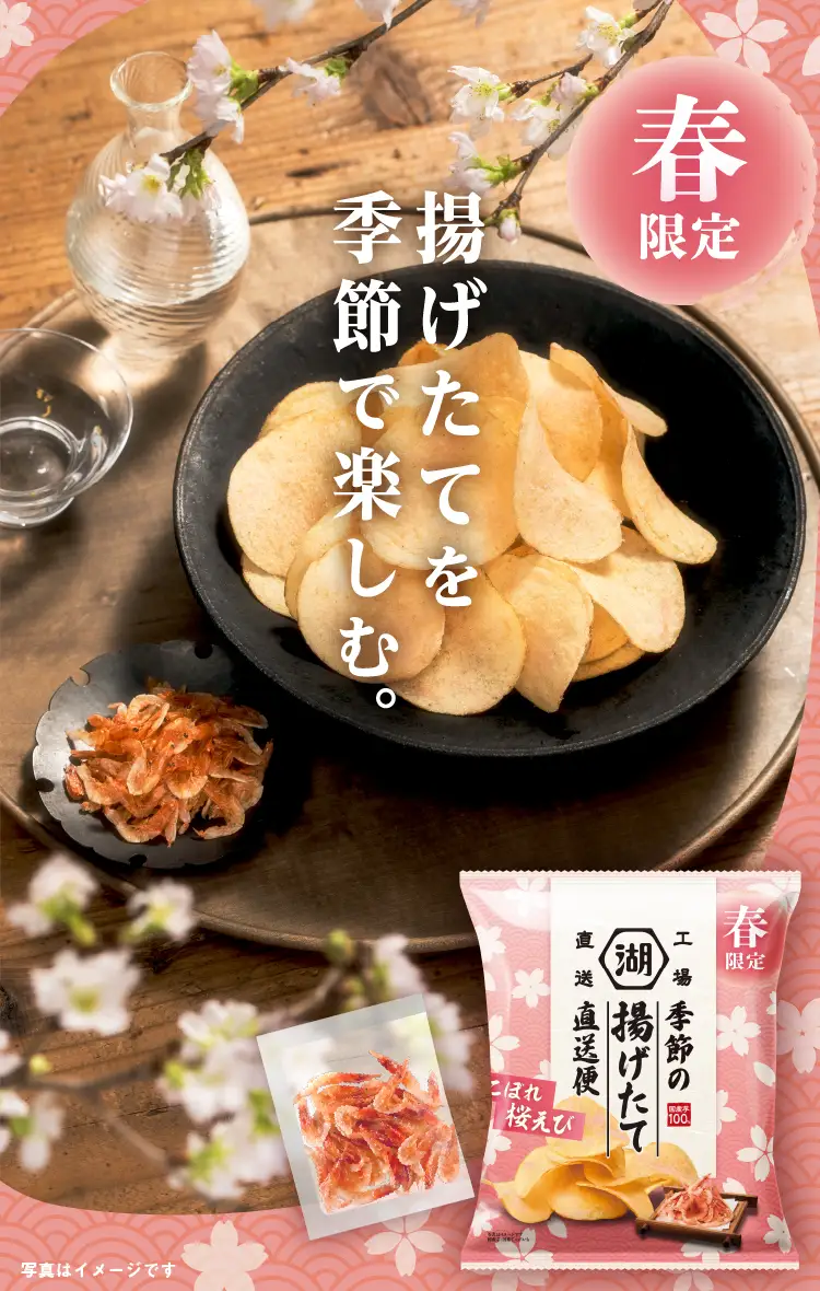 湖池屋揚げたて直送便（工場直送便） を季節で楽しむ。春限定の桜えび仕立ての揚げたてポテトチップス