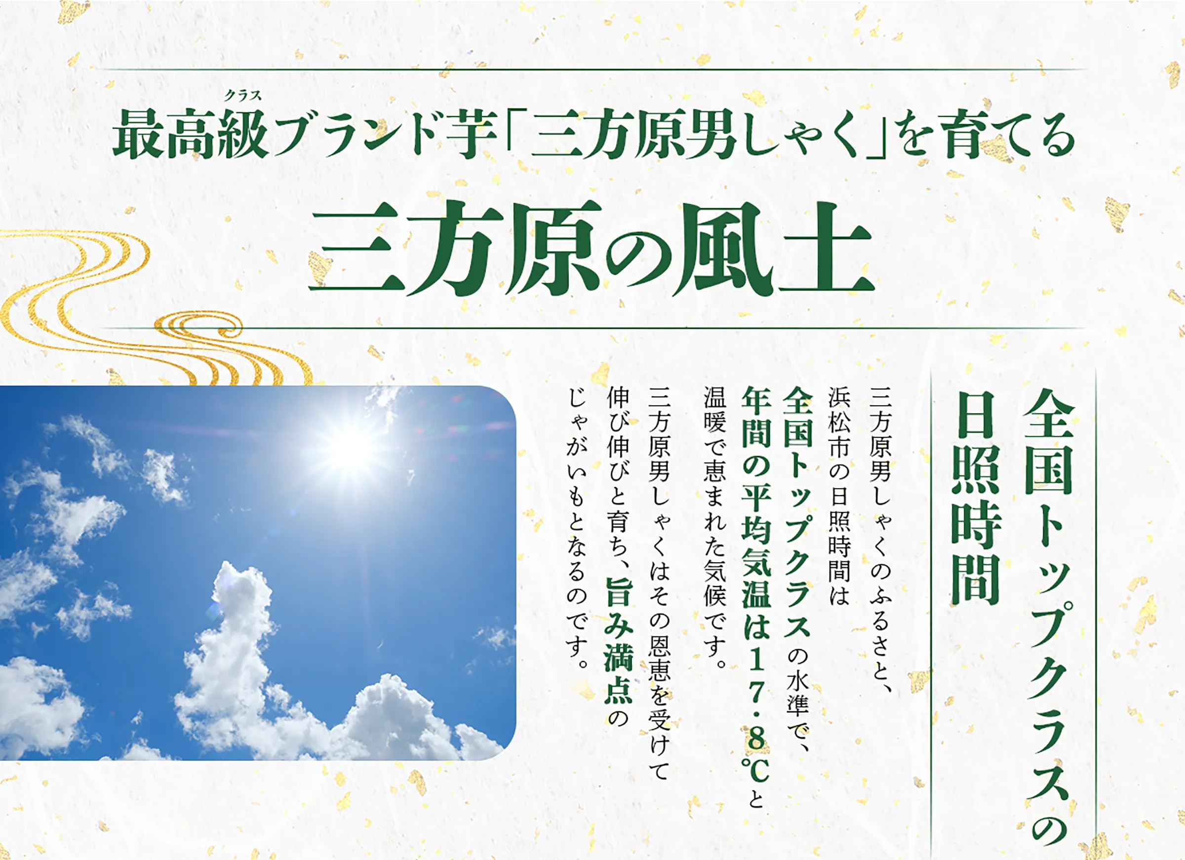 最高級(クラス)ブランド芋「三高原男しゃく」を育てる三方原の風土「全国トップクラスの日照時間」三方原男しゃくのふるさと、浜松市の日照時間は全国トップクラスの水準で、年間の平均気温は17.8℃と温暖で恵まれた気候です。三方原男しゃくはその恩恵を受けて伸び伸びと育ち、旨み満点のじゃがいもとなるのです。