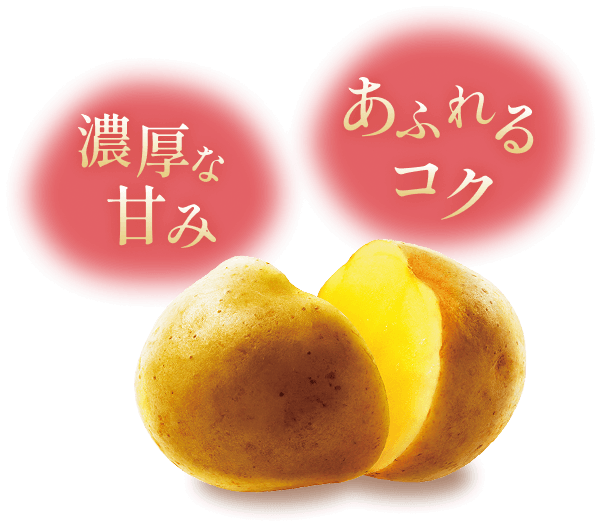 ながさき黄金 揚げたて直送便 ポテトチップス | 公式通販 湖池屋オンライン