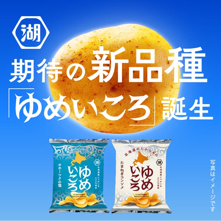 ゆめいころ 北海道の期待の新品種を使用したポテトチップス | 公式通販