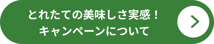 お取り寄せ・詳しくはこちら