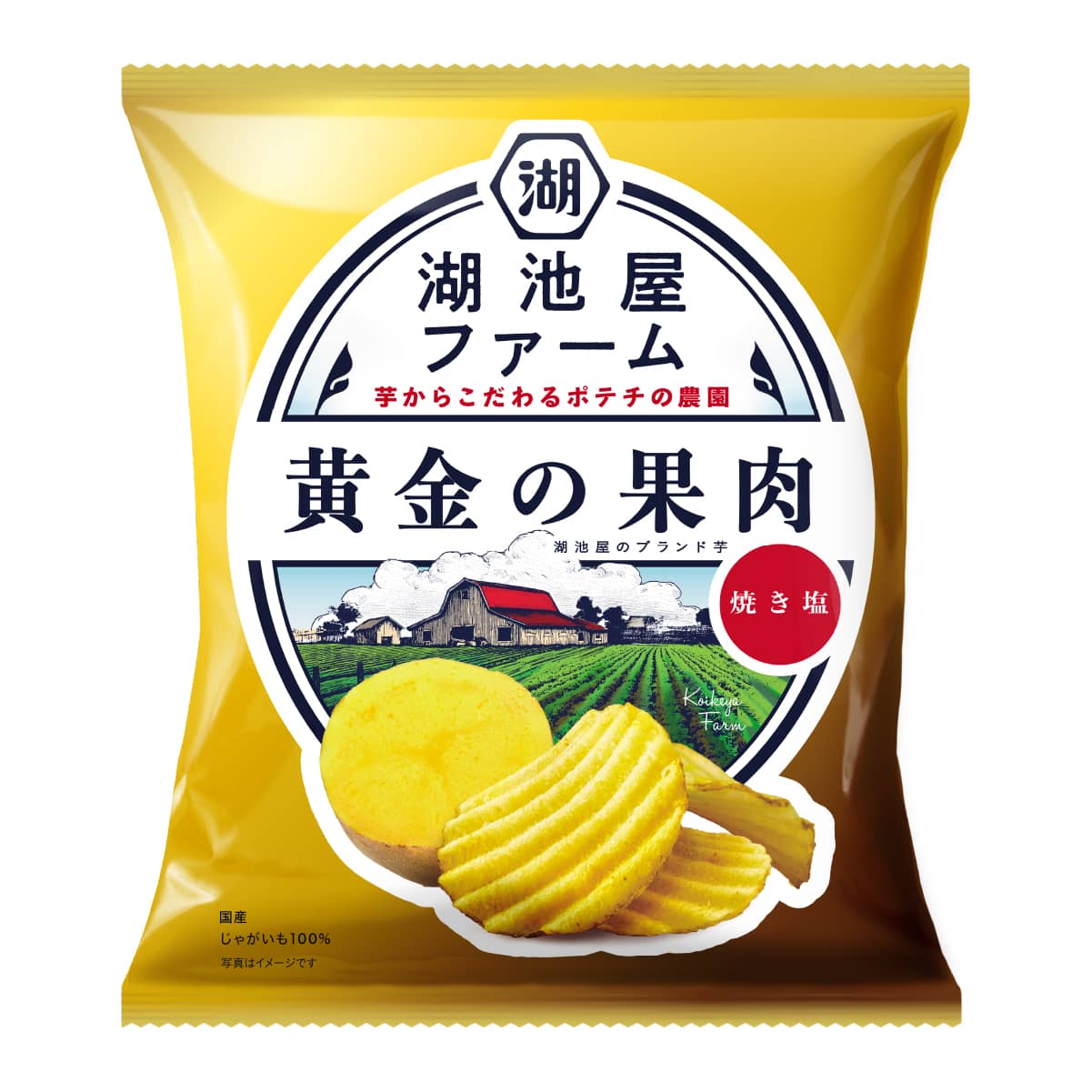 湖池屋ファーム　黄金の果肉焼き塩