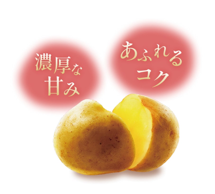 揚げたて直送便 ながさき黄