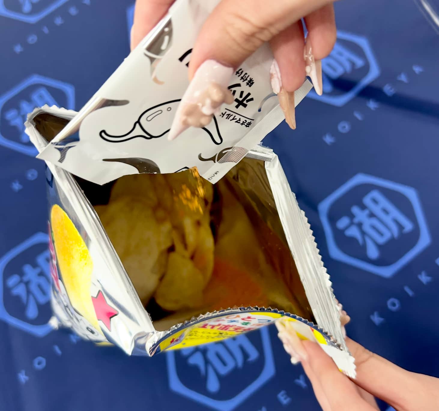 マイポテチキット