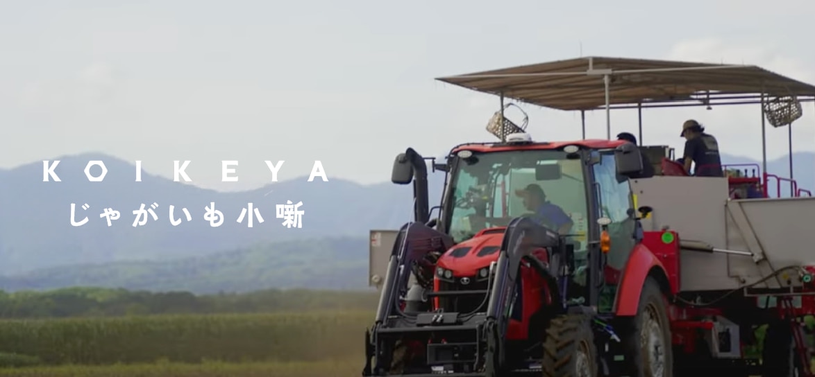 国産じゃがいも特集