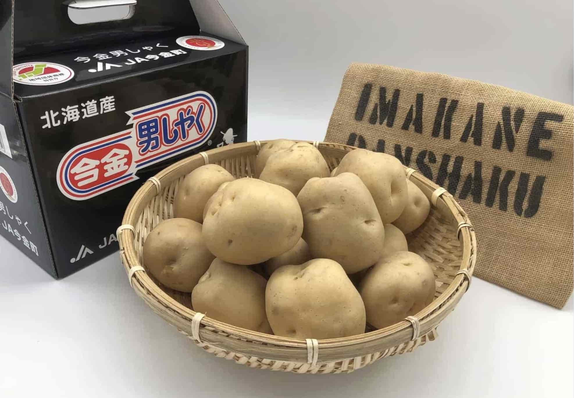 今金男しゃく