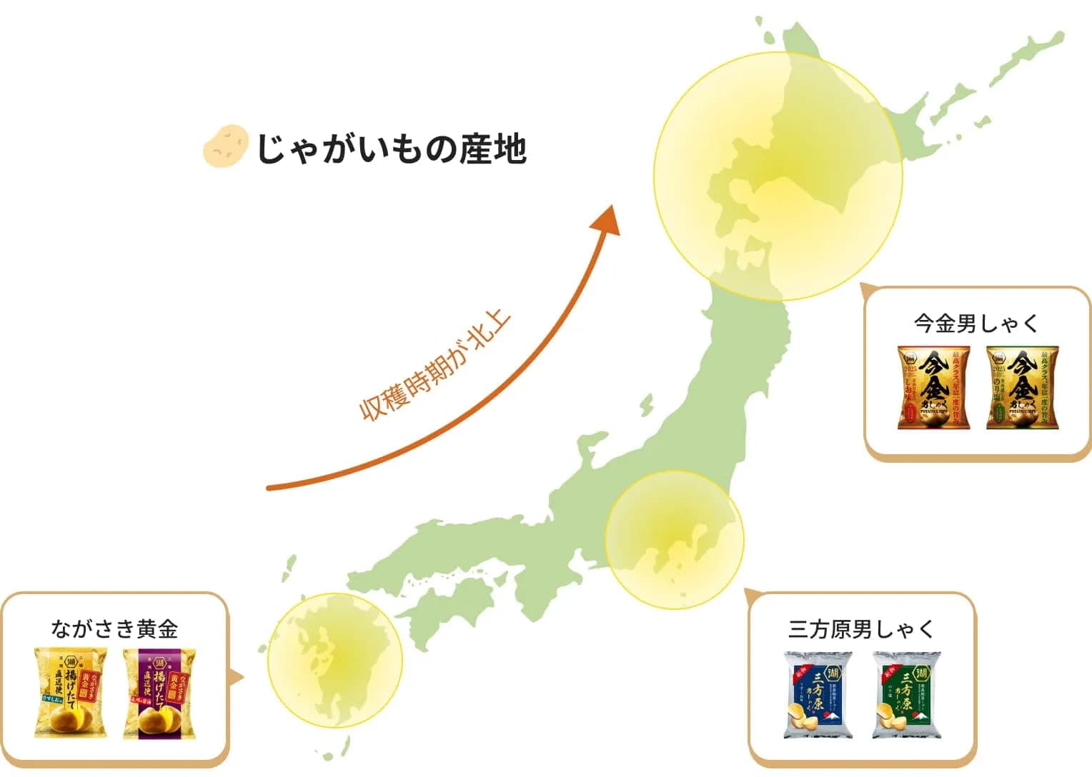 湖池屋工場直送便