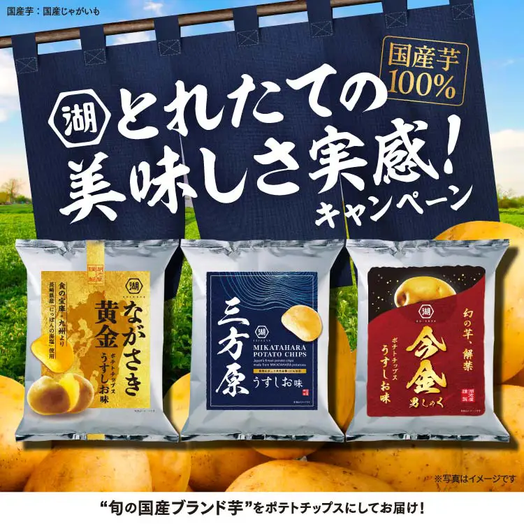 とれたての美味しさ実感！キャンペーン