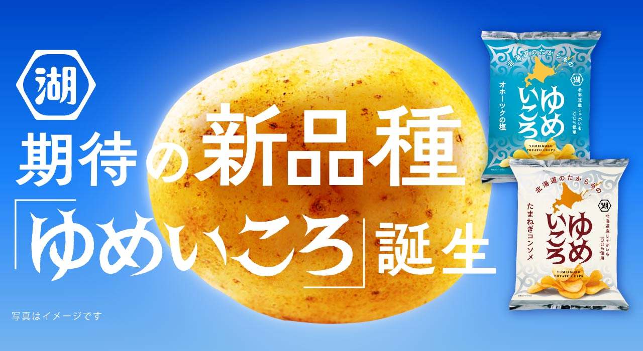 ゆめいころ ポテトチップス